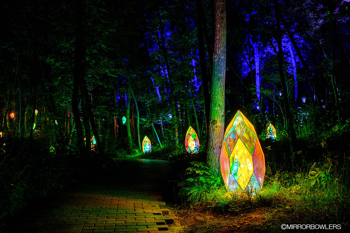 童話村の森ライトアップ