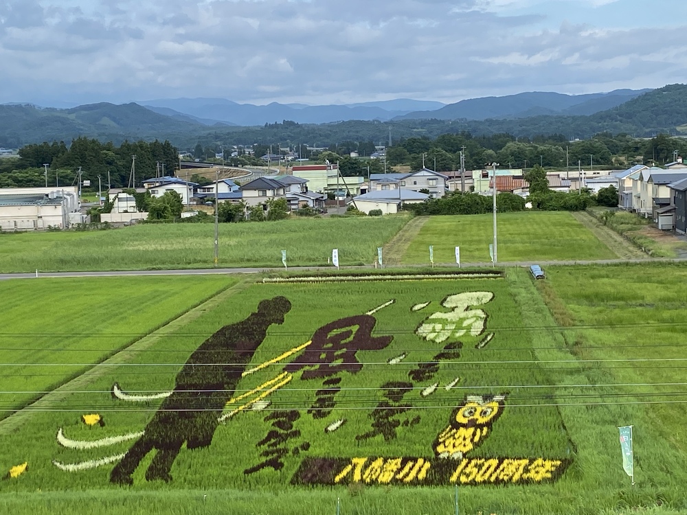 八幡田んぼアート