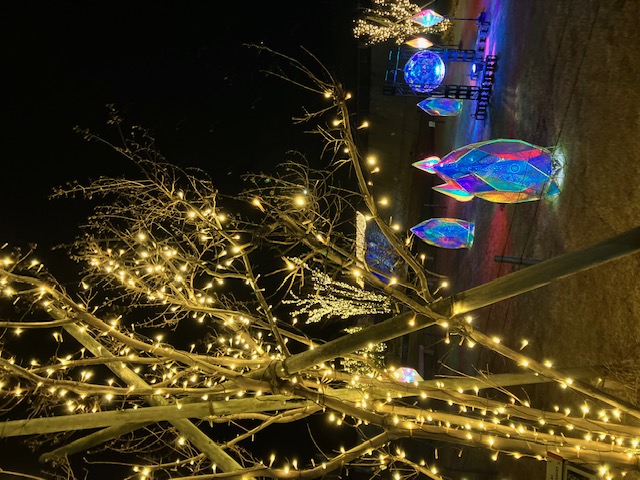 花巻中央広場イルミネーション ヒカルヒロバ2025