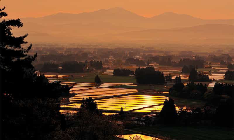 円万寺 観音山