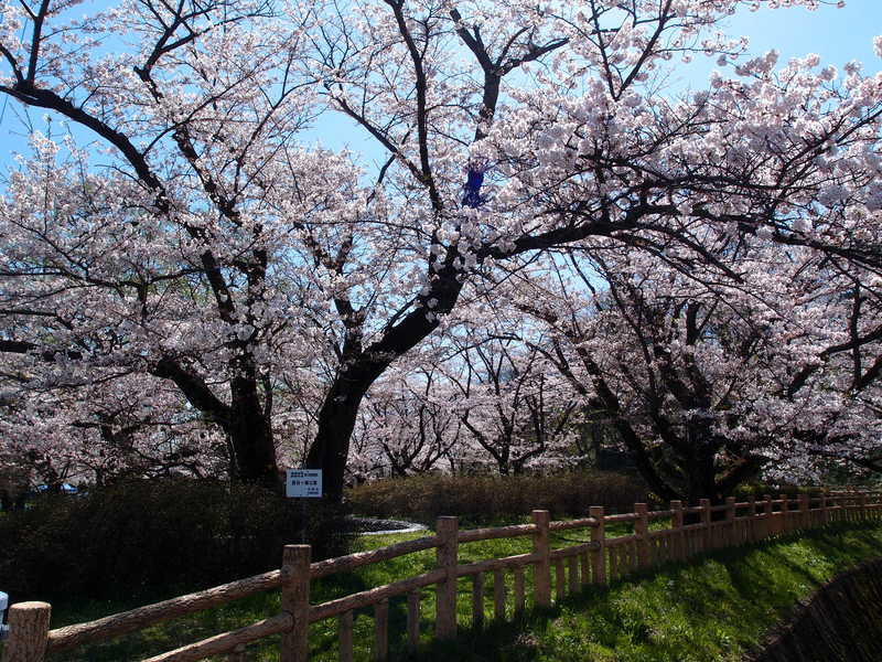 鳥谷ケ崎公園