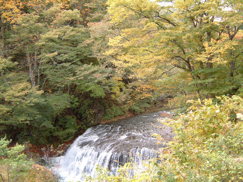 葛丸川渓流