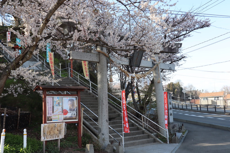 花巻神社【桜】