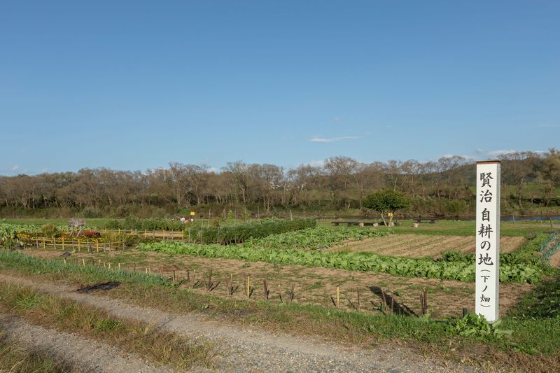 賢治自耕の地(下の畑)