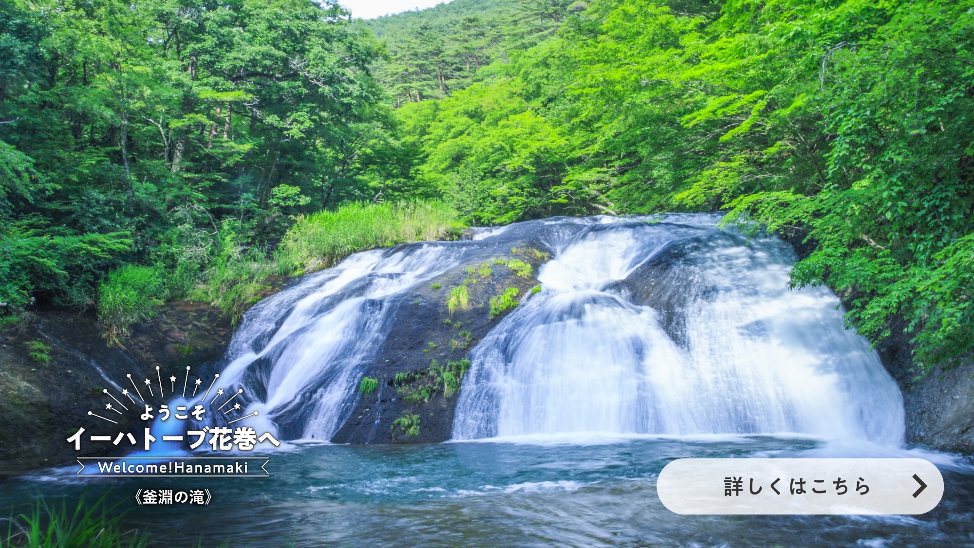 新緑の釜淵の滝