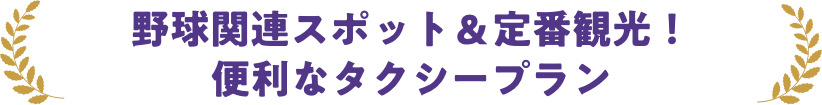 野球関連スポット＆定番観光！便利なタクシープラン