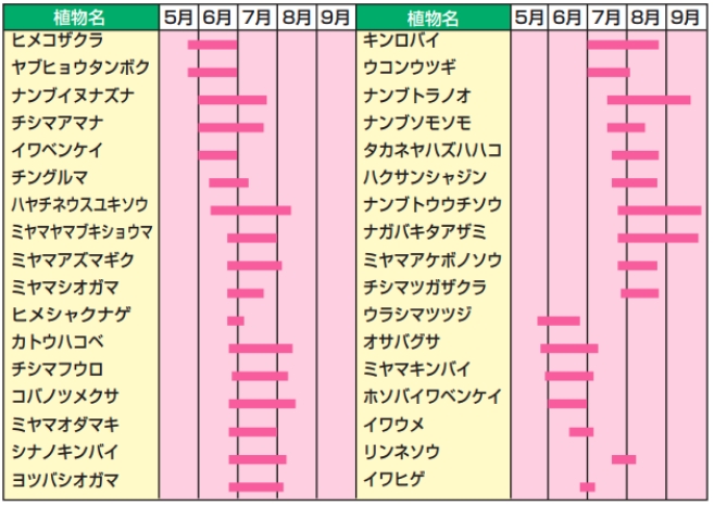 ヒメコザクラ6月、ヤブヒョウタンボク6月、ナンブイヌナズナ6〜7月、チシマアマナ6〜7月、イワベンケイ6月、チングルマ6月、ハヤチネウスユキソウ6〜8月、ミヤマヤマブキショウマ7月、ミヤマアズマギク7月、ミヤマシオガマ7月、ヒメシャクナゲ6〜7月、カトウハコベ7〜8月、チシマフウロ7月、コベノツメクサ7〜8月、ミヤマオダマキ7月、シナノキンバイ7月、ヨシバツオガマ7月、キンロバイ7〜8月、ウコンウツギ7月、ナンブトラノオ7〜9月、ナンブソモソモ7〜8月、タカネヤハズハハコ7〜8月、ハクサンシャジン7〜8月、ナンブトウウチソウ8〜9月、ナガバキタアザミ8〜9月、ミヤマアケボノソウ8月、チシマツガザクラ7月、ウラシマツツジ6月、オサバグサ6月、ミヤマキンバイ6月、ホソバイワベンケイ6月、イワウメ6月、リンネソウ7月、イワヒゲ6〜7月