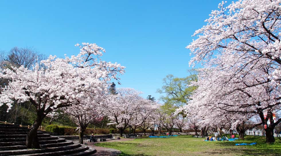 鳥谷ヶ崎公園