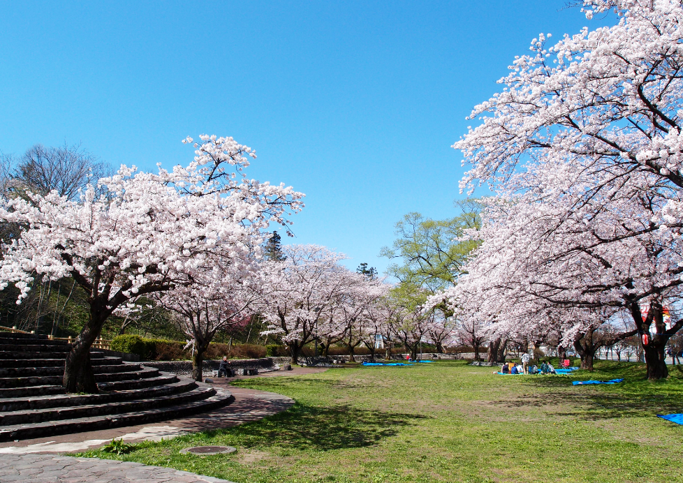 鳥谷ヶ崎公園