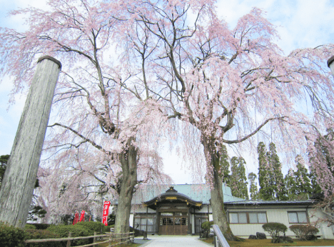 身照寺