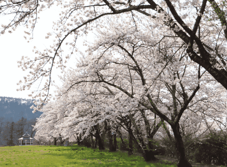 愛宕山公園